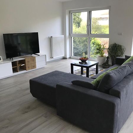 Ferienwohnung „Frosch“ Neukirchen-Balbini Exteriér fotografie