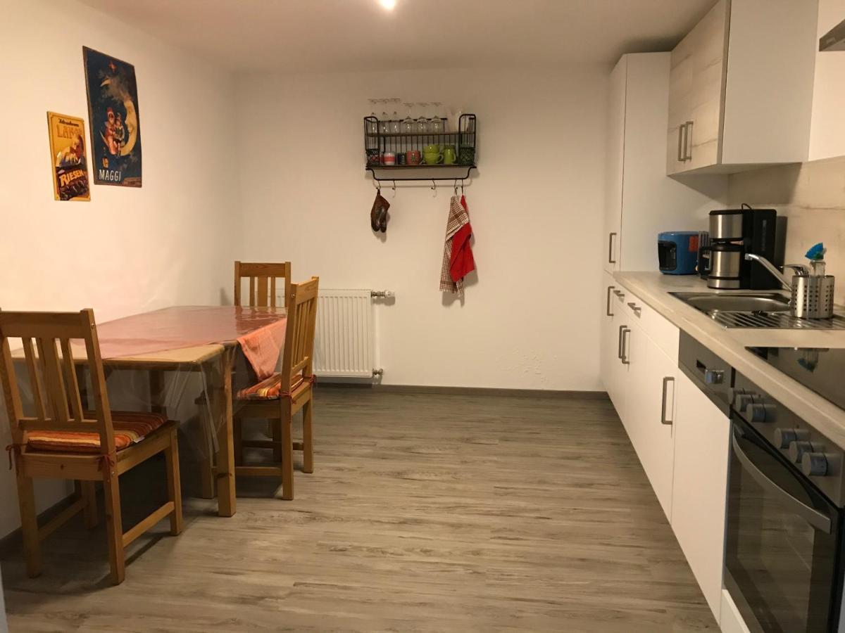 Ferienwohnung „Frosch“ Neukirchen-Balbini Exteriér fotografie
